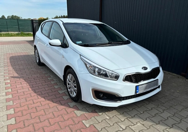 Kia Ceed cena 31999 przebieg: 205000, rok produkcji 2016 z Kielce małe 211